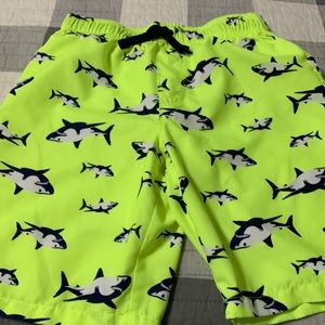 Boys Swim Trunk’s